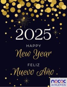 New Year’s Greetings for 2025 – Saludo de Nuevo Año 2025